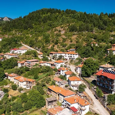 Gæstehus The Pine Living - & Lyevochevo